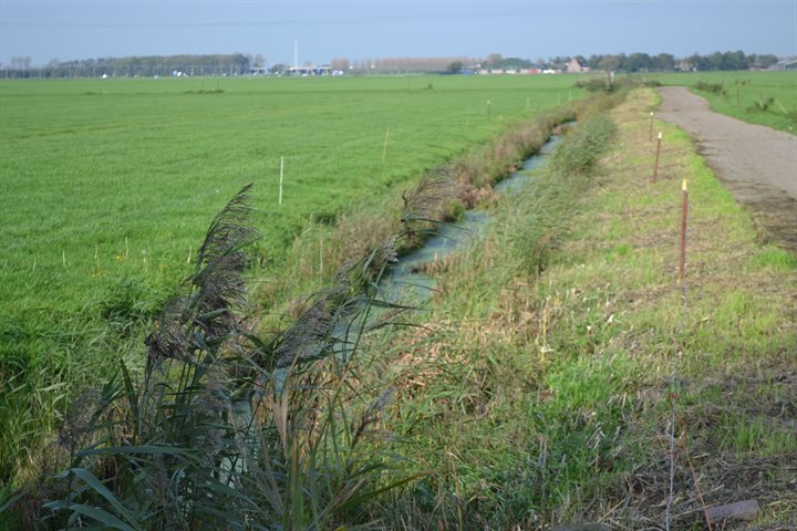 Melkveehouderij Apeldoorn