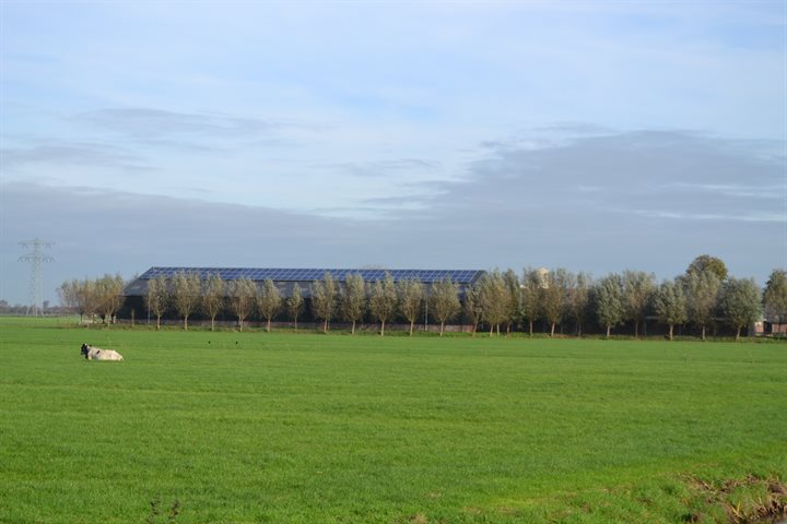 Melkveehouderij Apeldoorn